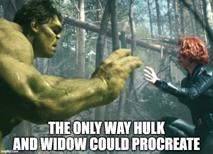 Sometimes When We Touch... | THE ONLY WAY HULK AND WIDOW COULD PROCREATE | image tagged in black widow and hulk | made w/ Imgflip meme maker