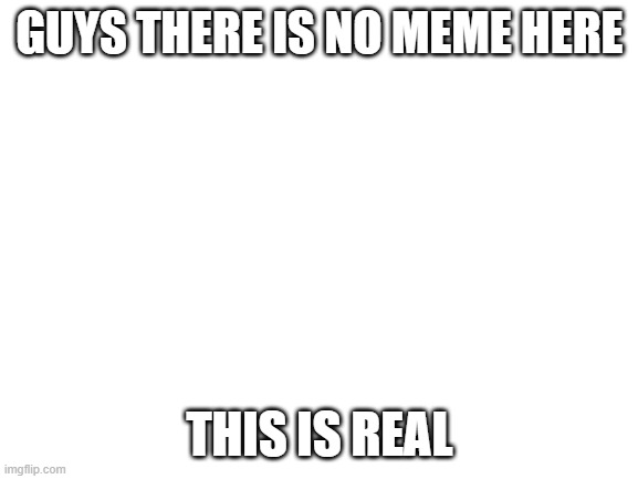 nothing | GUYS THERE IS NO MEME HERE; THIS IS REAL | image tagged in blank white template | made w/ Imgflip meme maker