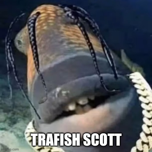 TRAFISH SCOTT | image tagged in trafish scott | made w/ Imgflip meme maker