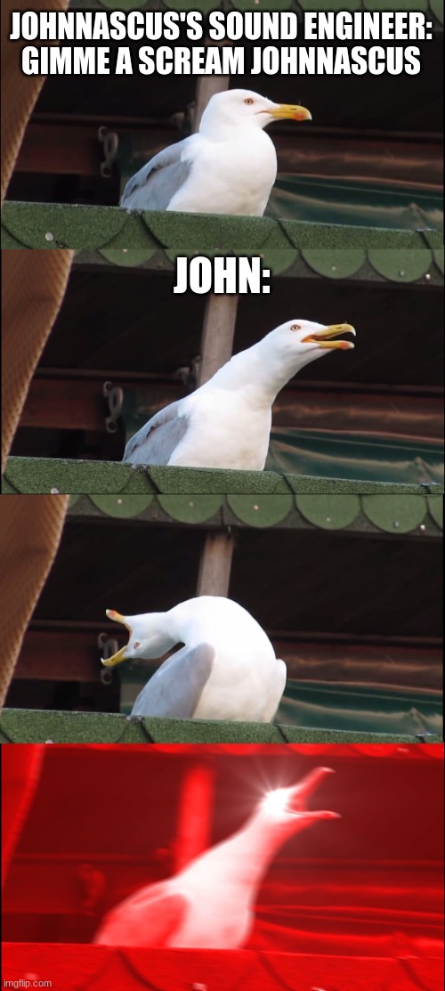 AHHHh HIS SCREAMS :MOANING_EMOJI: | JOHNNASCUS'S SOUND ENGINEER:
GIMME A SCREAM JOHNNASCUS; JOHN: | image tagged in memes,inhaling seagull | made w/ Imgflip meme maker