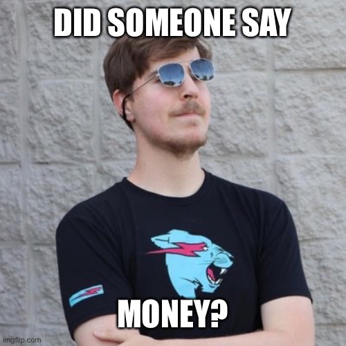 Mr. Beast | DID SOMEONE SAY MONEY? | image tagged in mr beast | made w/ Imgflip meme maker