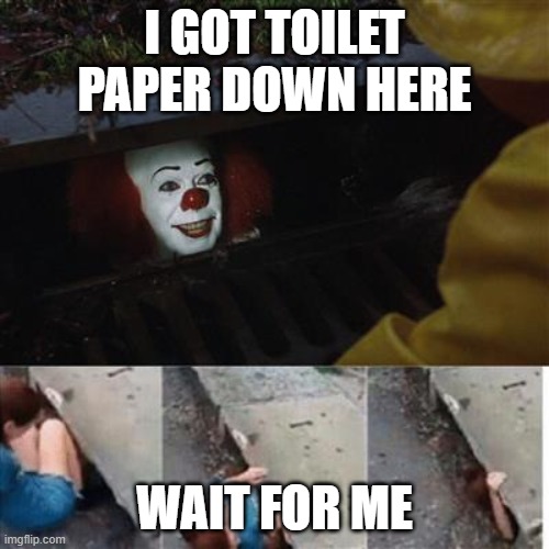 toilet paper | I GOT TOILET PAPER DOWN HERE; WAIT FOR ME | image tagged in pennywise in sewer | made w/ Imgflip meme maker