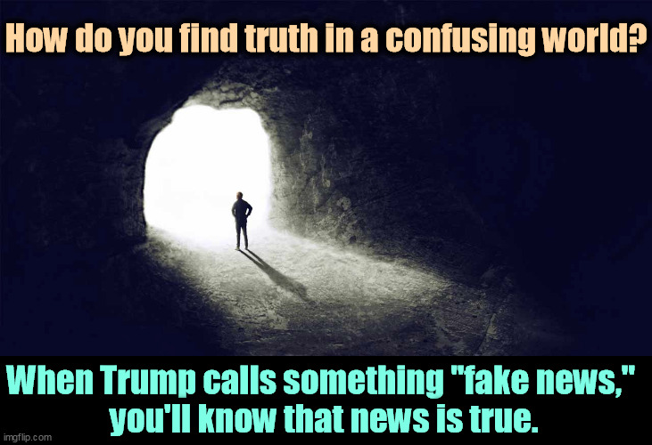 Works every time. | How do you find truth in a confusing world? When Trump calls something "fake news," 
you'll know that news is true. | image tagged in truth,trump,fake news | made w/ Imgflip meme maker