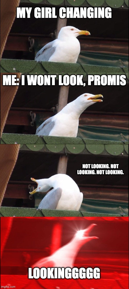 Inhaling Seagull | MY GIRL CHANGING; ME: I WONT LOOK, PROMIS; NOT LOOKING. NOT LOOKING. NOT LOOKING. LOOKINGGGGG | image tagged in memes,inhaling seagull | made w/ Imgflip meme maker