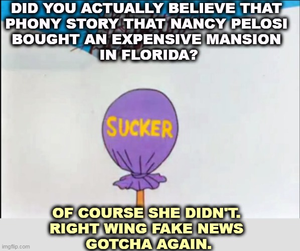 Right wingers will believe anything if it's nasty enough. Boy, they saw you coming. | DID YOU ACTUALLY BELIEVE THAT 
PHONY STORY THAT NANCY PELOSI 
BOUGHT AN EXPENSIVE MANSION 
IN FLORIDA? OF COURSE SHE DIDN'T. 
RIGHT WING FAKE NEWS 
GOTCHA AGAIN. | image tagged in looney tunes sucker,right wing,conservative,fake news | made w/ Imgflip meme maker