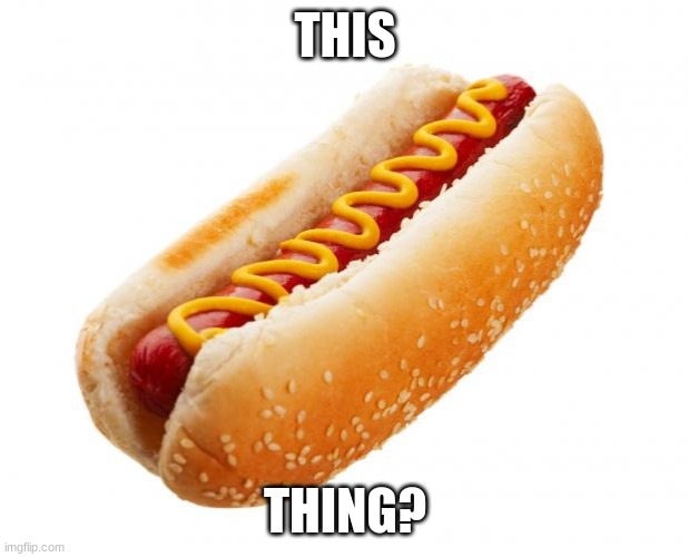 Hot dog  | THIS THING? | image tagged in hot dog | made w/ Imgflip meme maker
