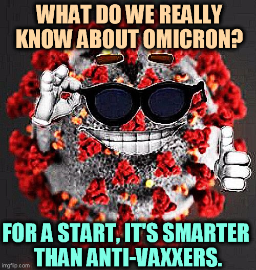 So what, anybody's smarter than anti-vaxxers. | WHAT DO WE REALLY KNOW ABOUT OMICRON? FOR A START, IT'S SMARTER 
THAN ANTI-VAXXERS. | image tagged in covid virus smile,omicron,smart,anti vax,dumb | made w/ Imgflip meme maker