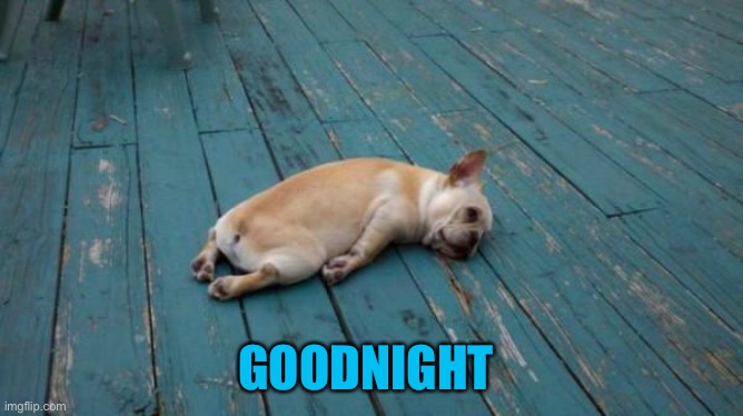 tired dog | GOODNIGHT | image tagged in tired dog | made w/ Imgflip meme maker