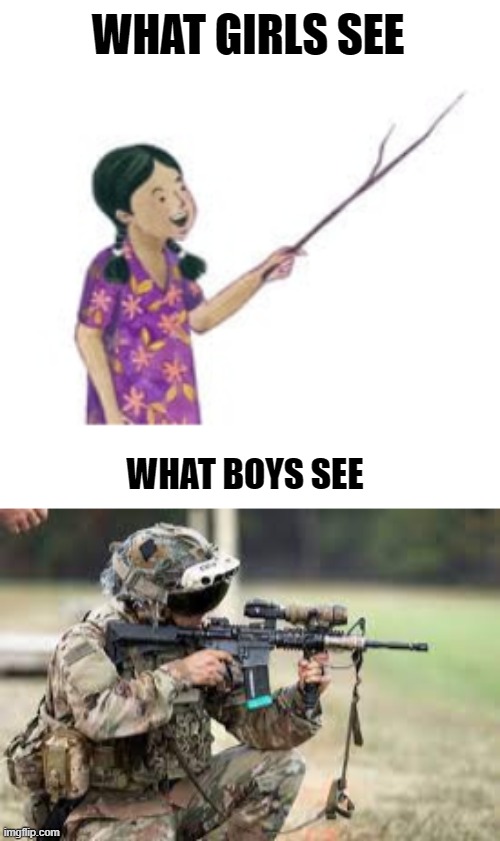 Boys with sticks be like | WHAT GIRLS SEE; WHAT BOYS SEE | image tagged in boys vs girls | made w/ Imgflip meme maker