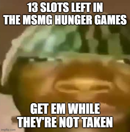 If they don't get taken in 10 minutes I'll fill them myself | 13 SLOTS LEFT IN THE MSMG HUNGER GAMES; GET EM WHILE THEY'RE NOT TAKEN | image tagged in shitpost | made w/ Imgflip meme maker