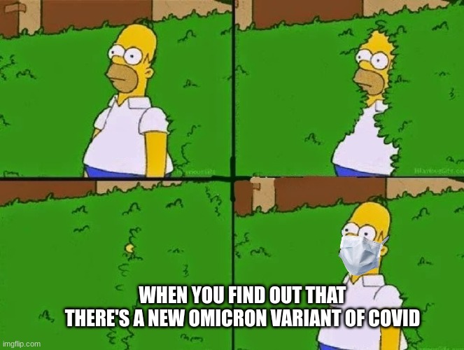 HOMER BUSH | WHEN YOU FIND OUT THAT THERE'S A NEW OMICRON VARIANT OF COVID | image tagged in homer bush | made w/ Imgflip meme maker