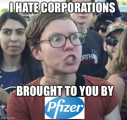 Triggered feminist | I HATE CORPORATIONS; BROUGHT TO YOU BY | image tagged in triggered feminist | made w/ Imgflip meme maker