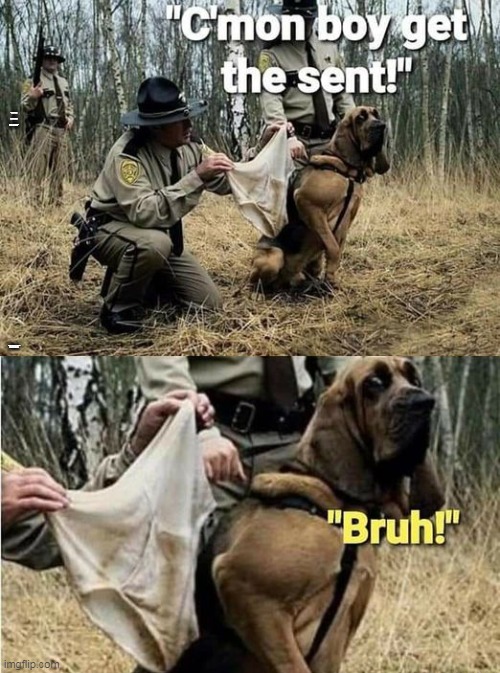 Underwear with some brownies | "C'MON BOY GET THE SCENT"; "BRUH" | image tagged in memes,funny | made w/ Imgflip meme maker