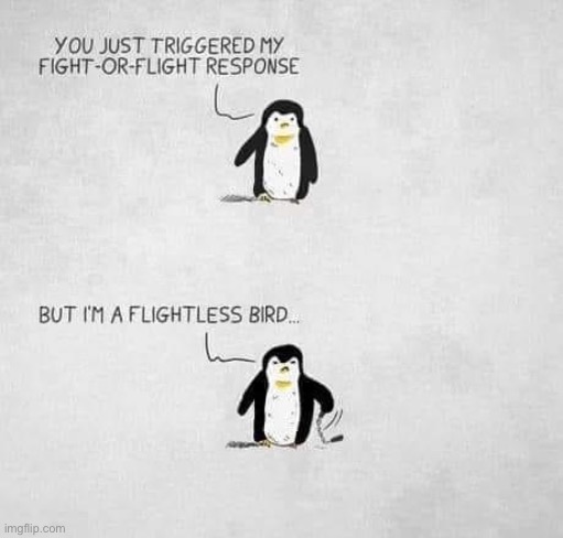 Fight or flight | image tagged in fight or flight | made w/ Imgflip meme maker