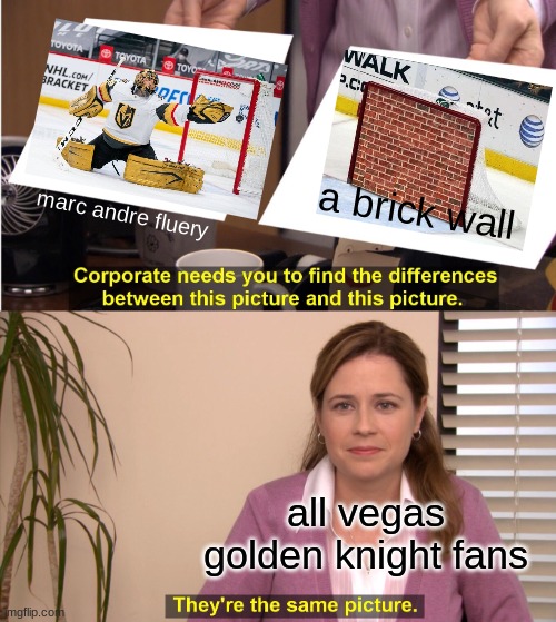 flower | a brick wall; marc andre fluery; all vegas golden knight fans | image tagged in memes,they're the same picture,golden knights,hockey,goalie,sports | made w/ Imgflip meme maker