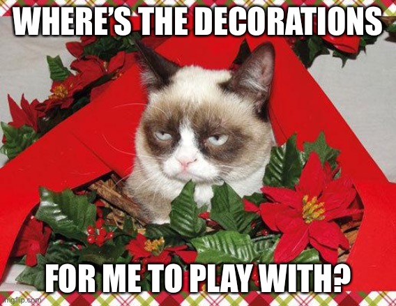 Grumpy Cat Mistletoe Meme | WHERE’S THE DECORATIONS; FOR ME TO PLAY WITH? | image tagged in memes,grumpy cat mistletoe,grumpy cat | made w/ Imgflip meme maker