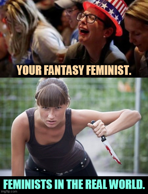 Repeal Roe v Wade and create a whole new generation of energized, motivated Democratic voters. | YOUR FANTASY FEMINIST. FEMINISTS IN THE REAL WORLD. | image tagged in supreme court,feminist,energy,watch out,new,democrats | made w/ Imgflip meme maker