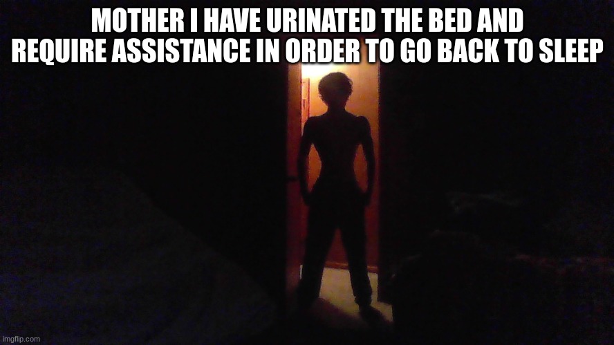 MOTHER I HAVE URINATED THE BED AND REQUIRE ASSISTANCE IN ORDER TO GO BACK TO SLEEP | made w/ Imgflip meme maker