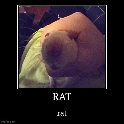 image tagged in funny,demotivationals | made w/ Imgflip demotivational maker