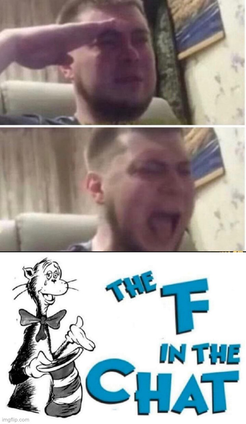 image tagged in crying salute,the f in the chat | made w/ Imgflip meme maker