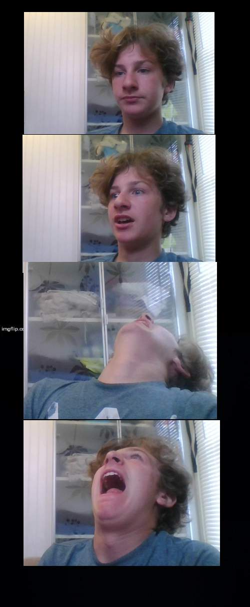 Muffin screaming | image tagged in muffin screaming | made w/ Imgflip meme maker