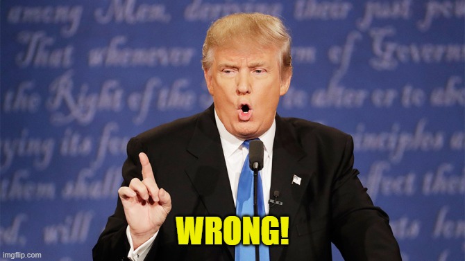 Donald Trump Wrong | WRONG! | image tagged in donald trump wrong | made w/ Imgflip meme maker