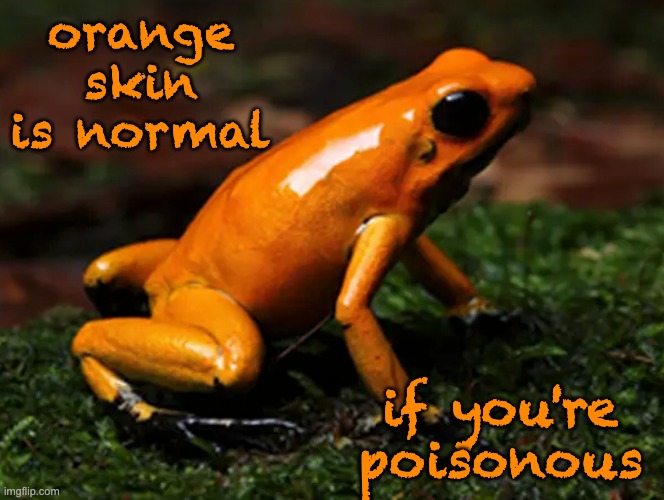 orange skin is normal if you're poisonous | made w/ Imgflip meme maker