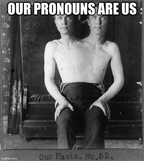 Two headed man | OUR PRONOUNS ARE US | image tagged in two headed man | made w/ Imgflip meme maker