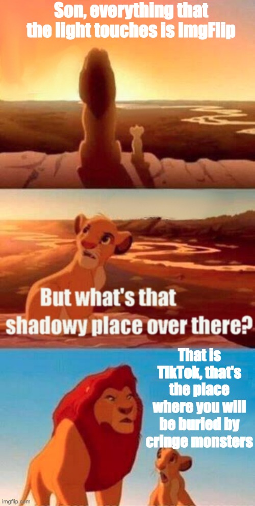 Relatable anyone? |  Son, everything that the light touches is ImgFlip; That is TikTok, that's the place where you will be buried by cringe monsters | image tagged in memes,simba shadowy place,tiktok cringe,imgflip,is better | made w/ Imgflip meme maker
