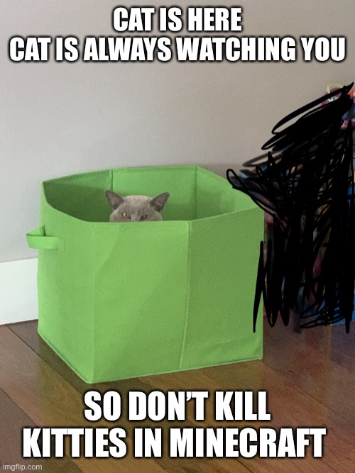 Srsly they hardly and rarely give you string | CAT IS HERE
CAT IS ALWAYS WATCHING YOU; SO DON’T KILL KITTIES IN MINECRAFT | image tagged in cat peering out,kitties,minecraft,im watching you | made w/ Imgflip meme maker