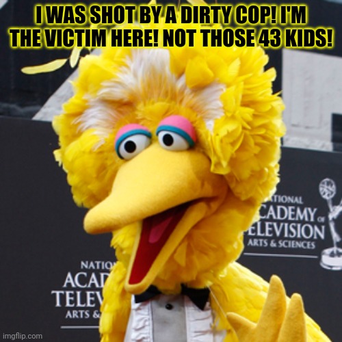 They raided bigbird's basement | I WAS SHOT BY A DIRTY COP! I'M THE VICTIM HERE! NOT THOSE 43 KIDS! | image tagged in memes,big bird,sesame street,basement | made w/ Imgflip meme maker