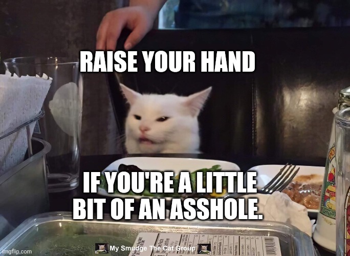 RAISE YOUR HAND; IF YOU'RE A LITTLE BIT OF AN ASSHOLE. | image tagged in smudge the cat | made w/ Imgflip meme maker