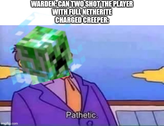 WARDEN: CAN TWO SHOT THE PLAYER
WITH FULL NETHERITE
CHARGED CREEPER: | image tagged in skinner pathetic | made w/ Imgflip meme maker