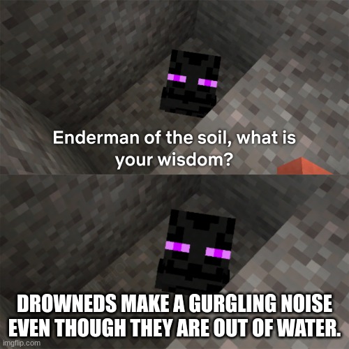 Enderman of the soil | DROWNEDS MAKE A GURGLING NOISE EVEN THOUGH THEY ARE OUT OF WATER. | image tagged in enderman of the soil | made w/ Imgflip meme maker