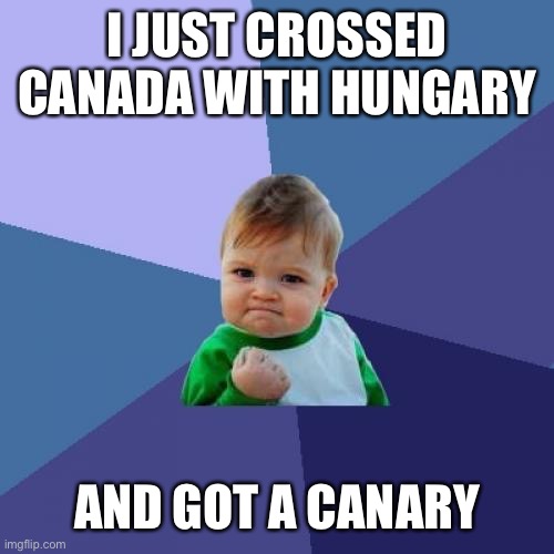 Success Kid Meme | I JUST CROSSED CANADA WITH HUNGARY; AND GOT A CANARY | image tagged in memes,success kid | made w/ Imgflip meme maker