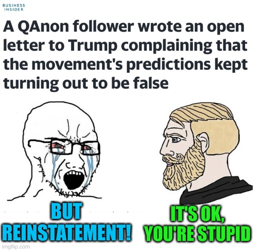 beliebe! | BUT REINSTATEMENT! IT'S OK, YOU'RE STUPID | image tagged in reinstatement,2021,donald trump,qanon,memes,letter | made w/ Imgflip meme maker