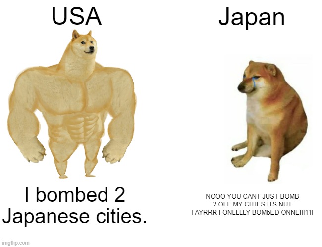 Buff Doge vs. Cheems Meme | USA Japan I bombed 2 Japanese cities. NOOO YOU CANT JUST BOMB 2 OFF MY CITIES ITS NUT FAYRRR I ONLLLLY BOMbED ONNE!!!11! | image tagged in memes,buff doge vs cheems | made w/ Imgflip meme maker
