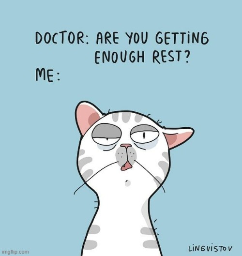 A Cat's Way Of Thinking | image tagged in memes,comics,cats,cat doctor,are you going to sleep,sleepy cat | made w/ Imgflip meme maker