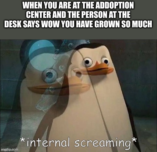 Private Internal Screaming | WHEN YOU ARE AT THE ADDOPTION CENTER AND THE PERSON AT THE DESK SAYS WOW YOU HAVE GROWN SO MUCH | image tagged in private internal screaming | made w/ Imgflip meme maker