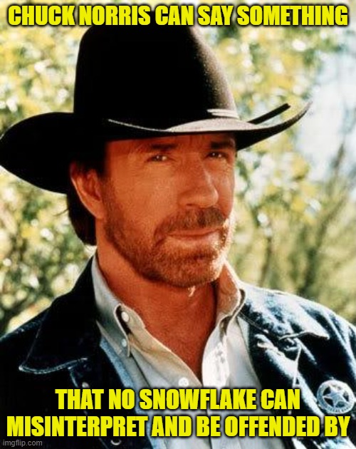 Chuck Norris and nobody else, it seems |  CHUCK NORRIS CAN SAY SOMETHING; THAT NO SNOWFLAKE CAN MISINTERPRET AND BE OFFENDED BY | image tagged in memes,chuck norris,offensive,leftism,woke | made w/ Imgflip meme maker