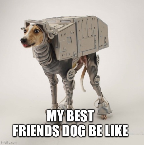 Star Wars Greyhound | MY BEST FRIENDS DOG BE LIKE | image tagged in star wars greyhound | made w/ Imgflip meme maker