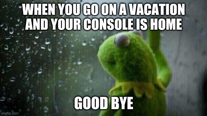 you now how it feels | WHEN YOU GO ON A VACATION AND YOUR CONSOLE IS HOME; GOOD BYE | image tagged in gaming | made w/ Imgflip meme maker