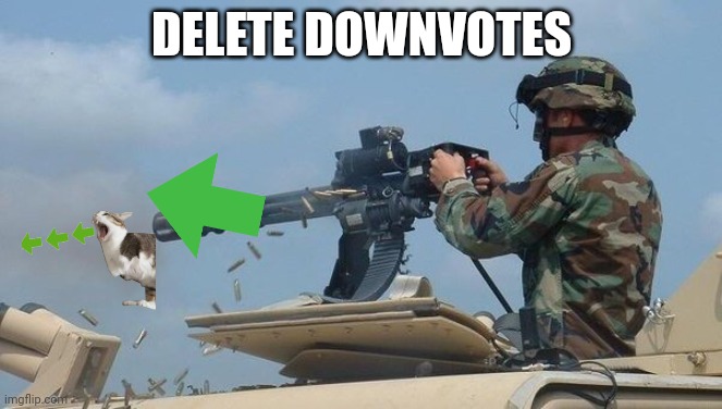 (mod note: NO) | DELETE DOWNVOTES | image tagged in minigun meme | made w/ Imgflip meme maker