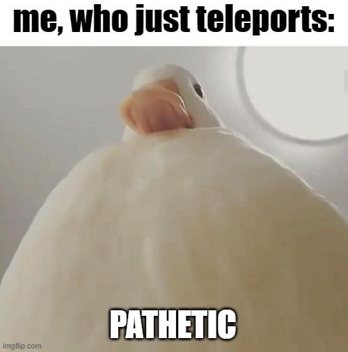 pathetic (duck#1) | me, who just teleports: PATHETIC | image tagged in pathetic duck 1 | made w/ Imgflip meme maker
