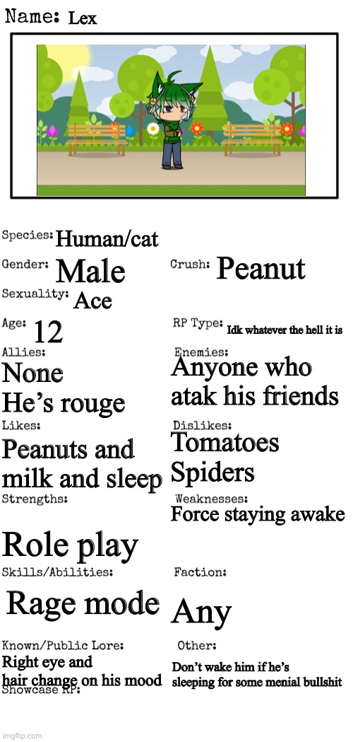 New OC showcase for RP stream | Lex; Human/cat; Peanut; Male; Ace; 12; Idk whatever the hell it is; Anyone who atak his friends; None 
He’s rouge; Tomatoes
Spiders; Peanuts and milk and sleep; Force staying awake; Role play; Any; Rage mode; Right eye and hair change on his mood; Don’t wake him if he’s sleeping for some menial bullshit | image tagged in new oc showcase for rp stream | made w/ Imgflip meme maker