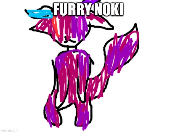 Blank White Template | FURRY NOKI | image tagged in blank white template | made w/ Imgflip meme maker