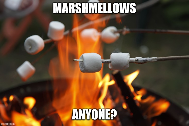 Roasting marshmellows | MARSHMELLOWS ANYONE? | image tagged in roasting marshmellows | made w/ Imgflip meme maker