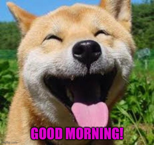 Happy Doge | GOOD MORNING! | image tagged in happy doge | made w/ Imgflip meme maker