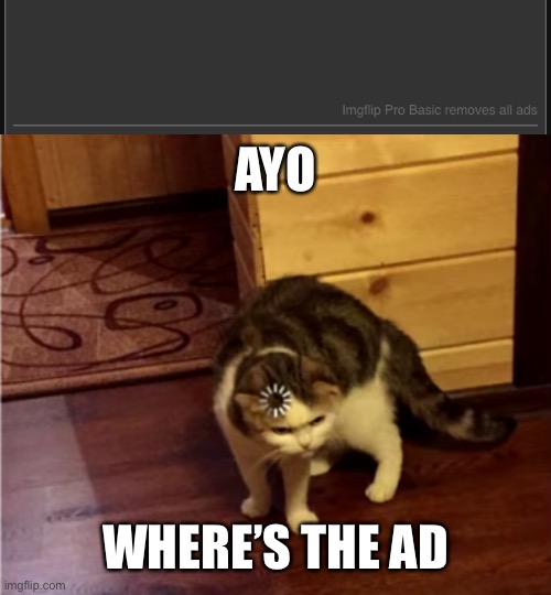 imgflip pro is nothing but a S C A M | AYO; WHERE’S THE AD | image tagged in loading cat hd | made w/ Imgflip meme maker