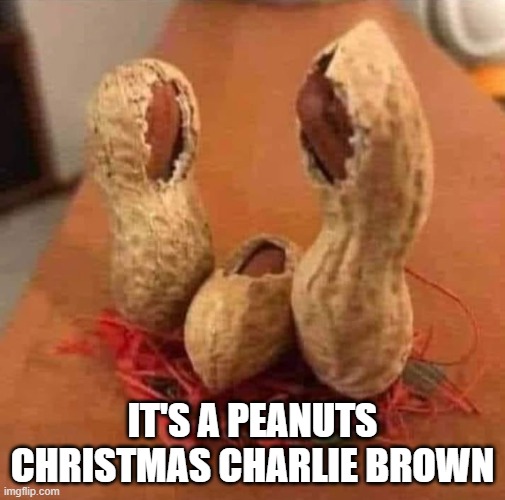 peanuts | IT'S A PEANUTS CHRISTMAS CHARLIE BROWN | image tagged in funny | made w/ Imgflip meme maker